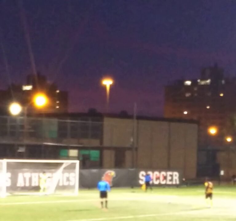 Soccer Field image 3