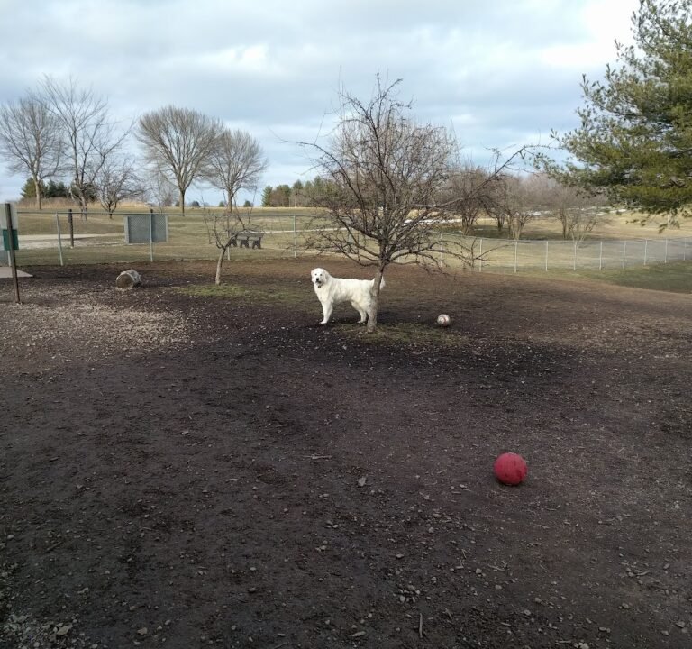 Soccer Field image 2