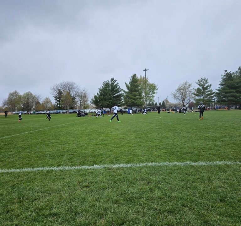 Soccer Field image 2