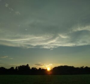 Soccer Field image 3