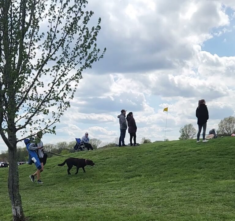 Soccer Field image 4