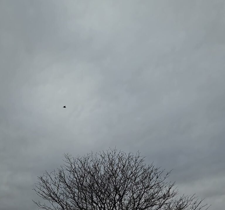 Soccer Field image 3