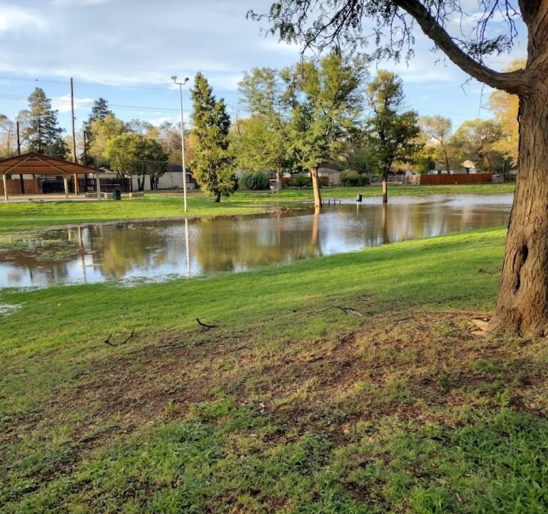 Soccer Field image 2