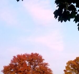 Soccer Field image 2