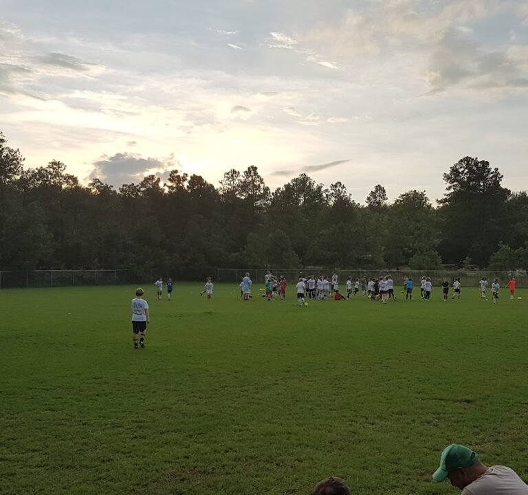 Soccer Field image 2