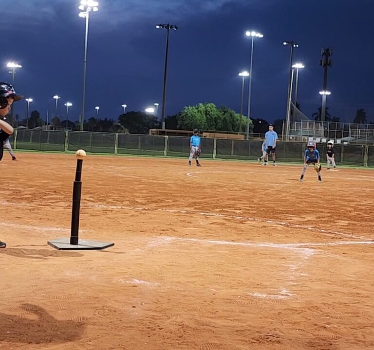 Soccer Field image 4