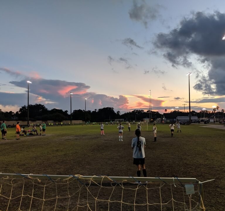 Soccer Field image 3