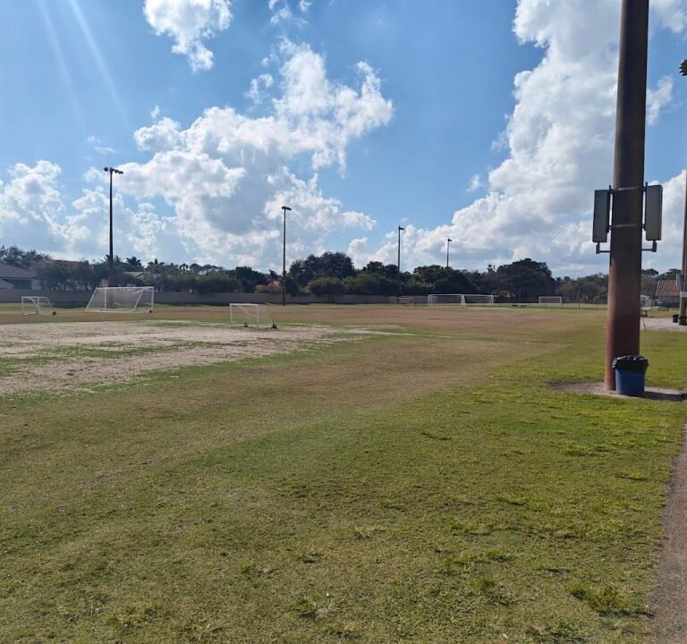 Soccer Field image 2