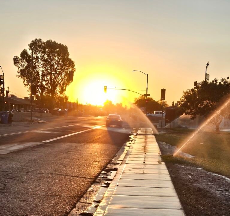 Soccer Field image 3