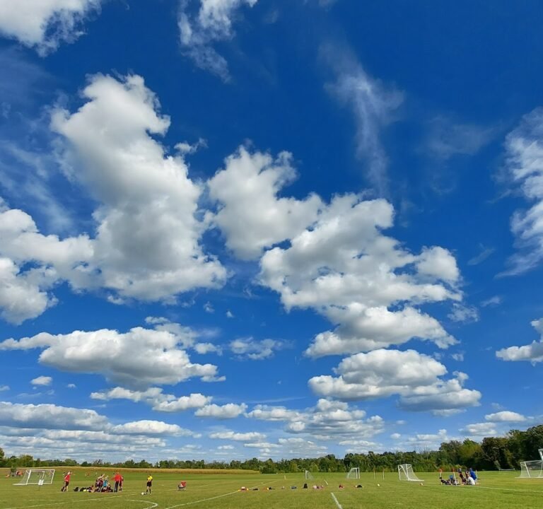 Soccer Field image 2