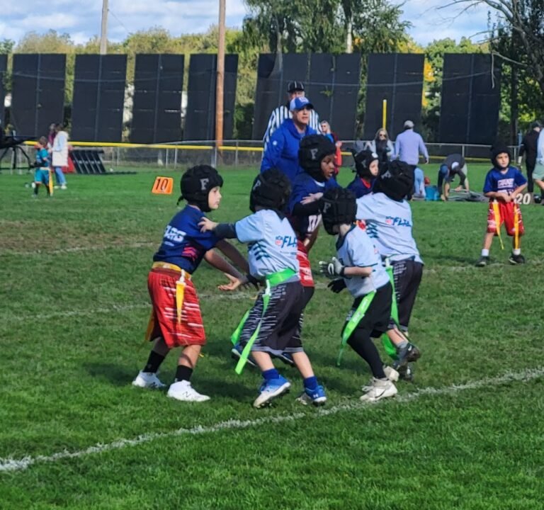 Soccer Field image 2