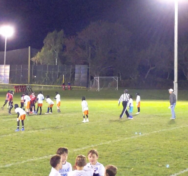 Soccer Field image 3