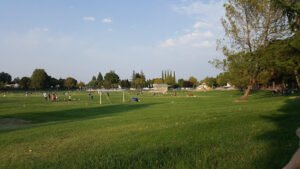 Soccer Field image 1