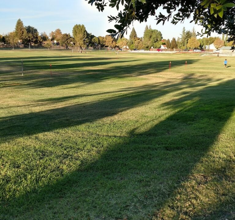 Soccer Field image 2