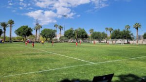 Soccer Field image 1