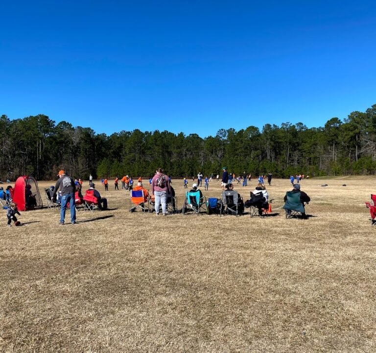 Soccer Field image 2
