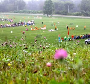 Soccer Field image 2