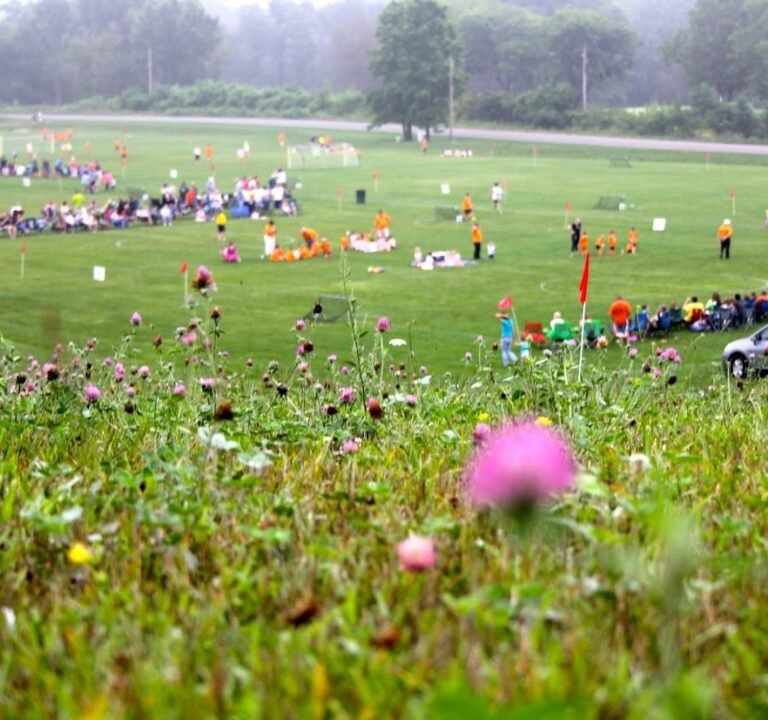 Soccer Field image 2