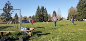 Soccer Field image 1