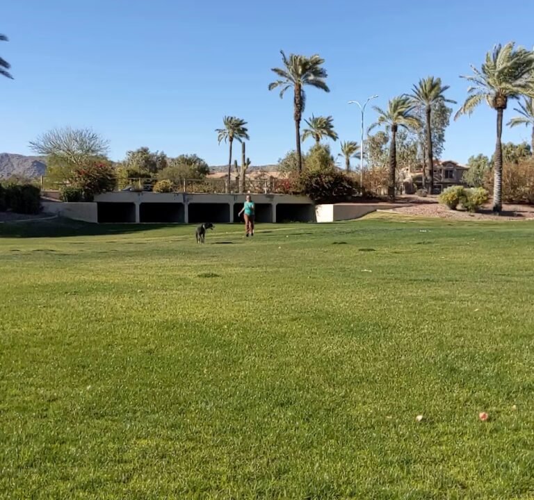 Soccer Field image 4