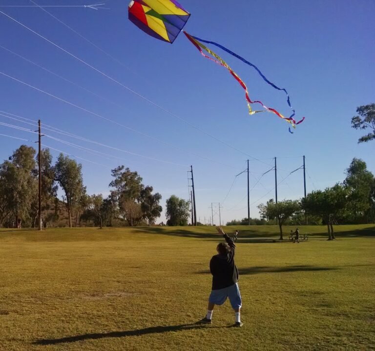 Soccer Field image 2