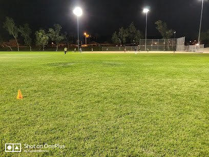 Soccer Field image 1