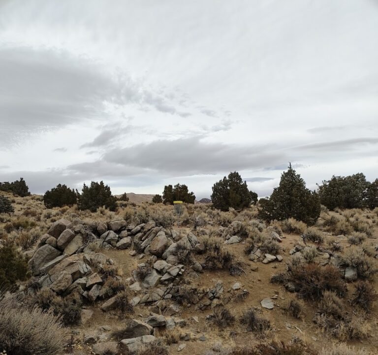 Soccer Field image 2