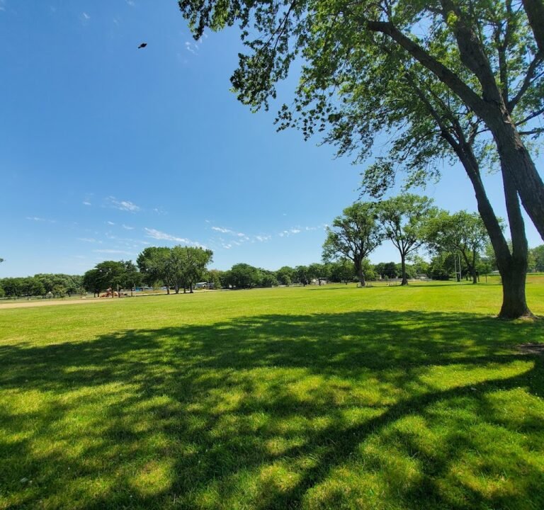 Soccer Field image 2