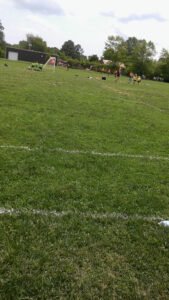 Soccer Field image 1