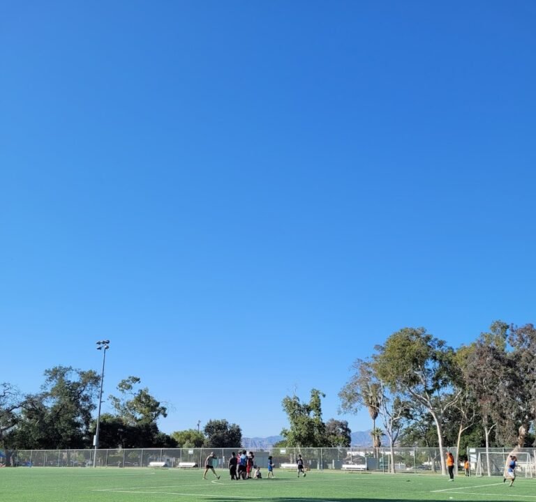 Soccer Field image 2