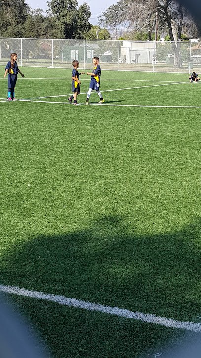 Soccer Field image 1