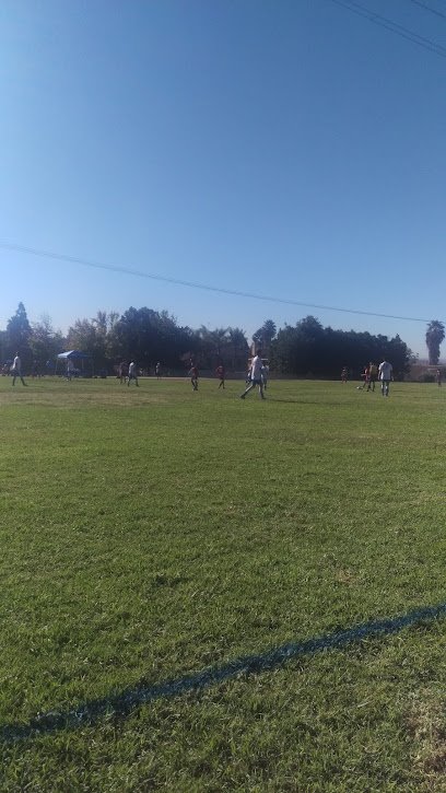 Soccer Field image 1