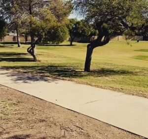 Soccer Field image 4
