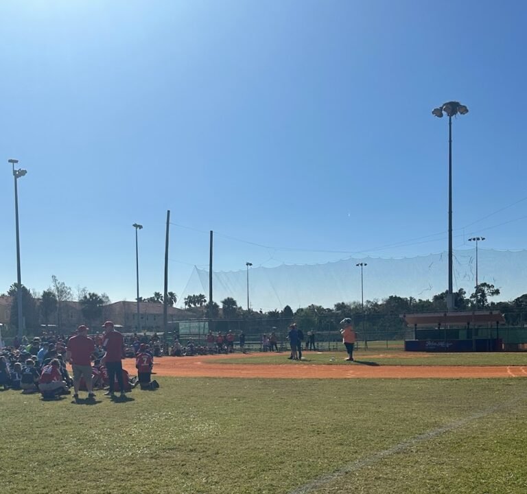 Soccer Field image 2