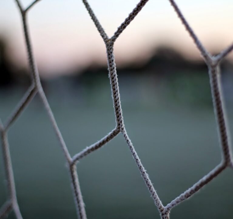 Soccer Field image 2