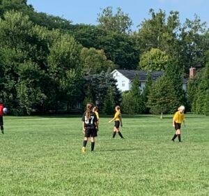 Soccer Field image 2