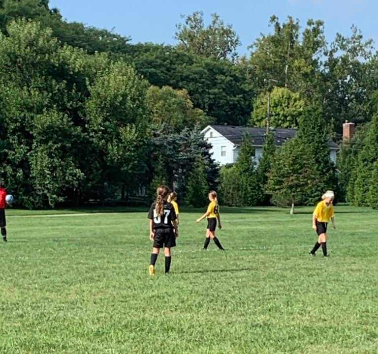 Soccer Field image 2