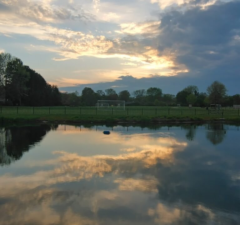 Soccer Field image 3
