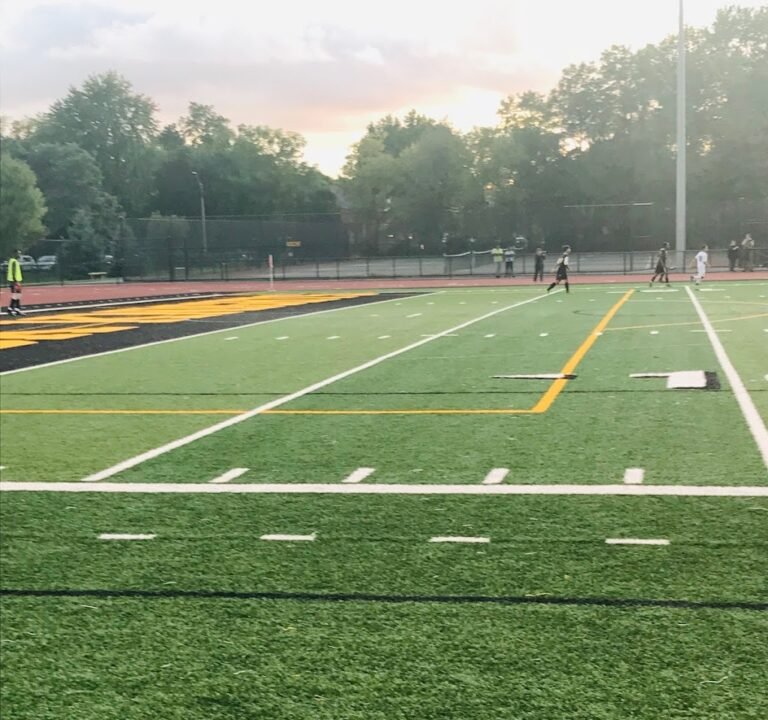 Soccer Field image 2