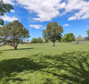Soccer Field image 2
