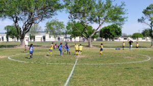 Soccer Field image 1