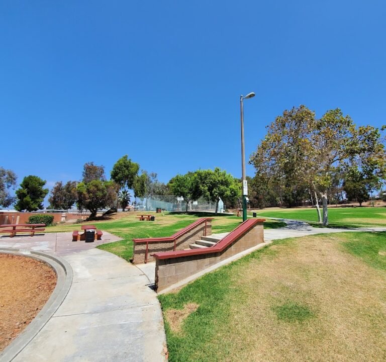 Soccer Field image 2