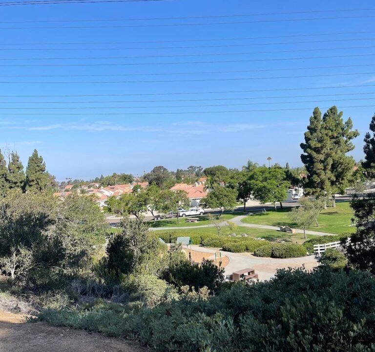 Soccer Field image 2