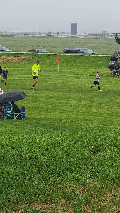 Soccer Field image 1