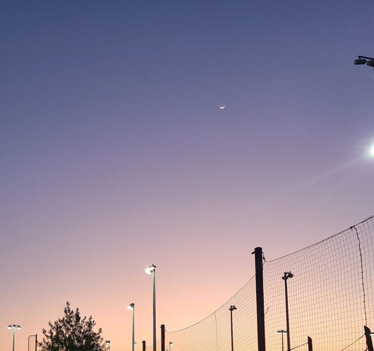 Soccer Field image 3