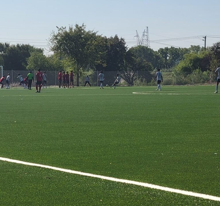 Soccer Field image 2