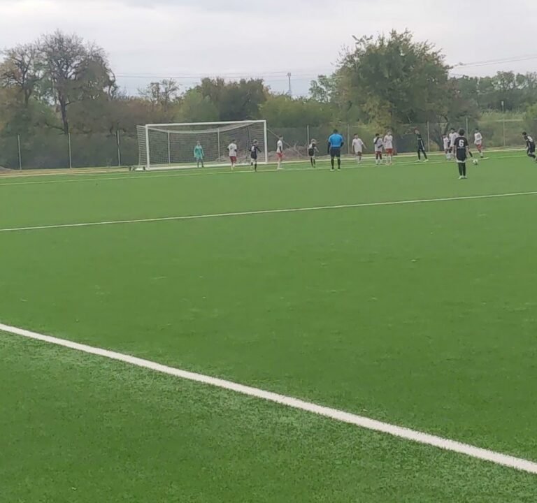 Soccer Field image 4