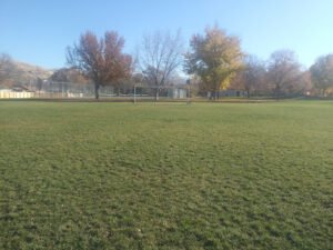 Soccer Field image 1