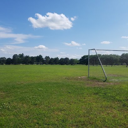 Soccer Field image 1