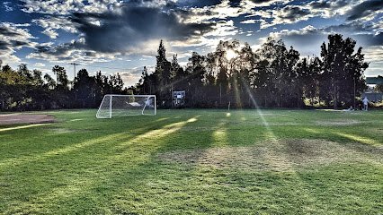 Soccer Field image 1